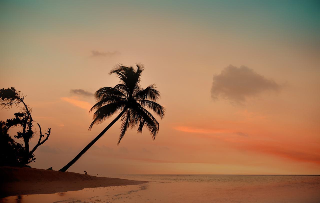 The Castaway Retreat Hotel Feridhoo Kültér fotó